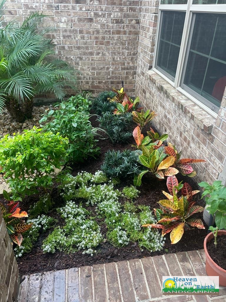 Landscape project